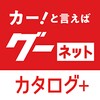 樱桃视频影视网在线观看免费版